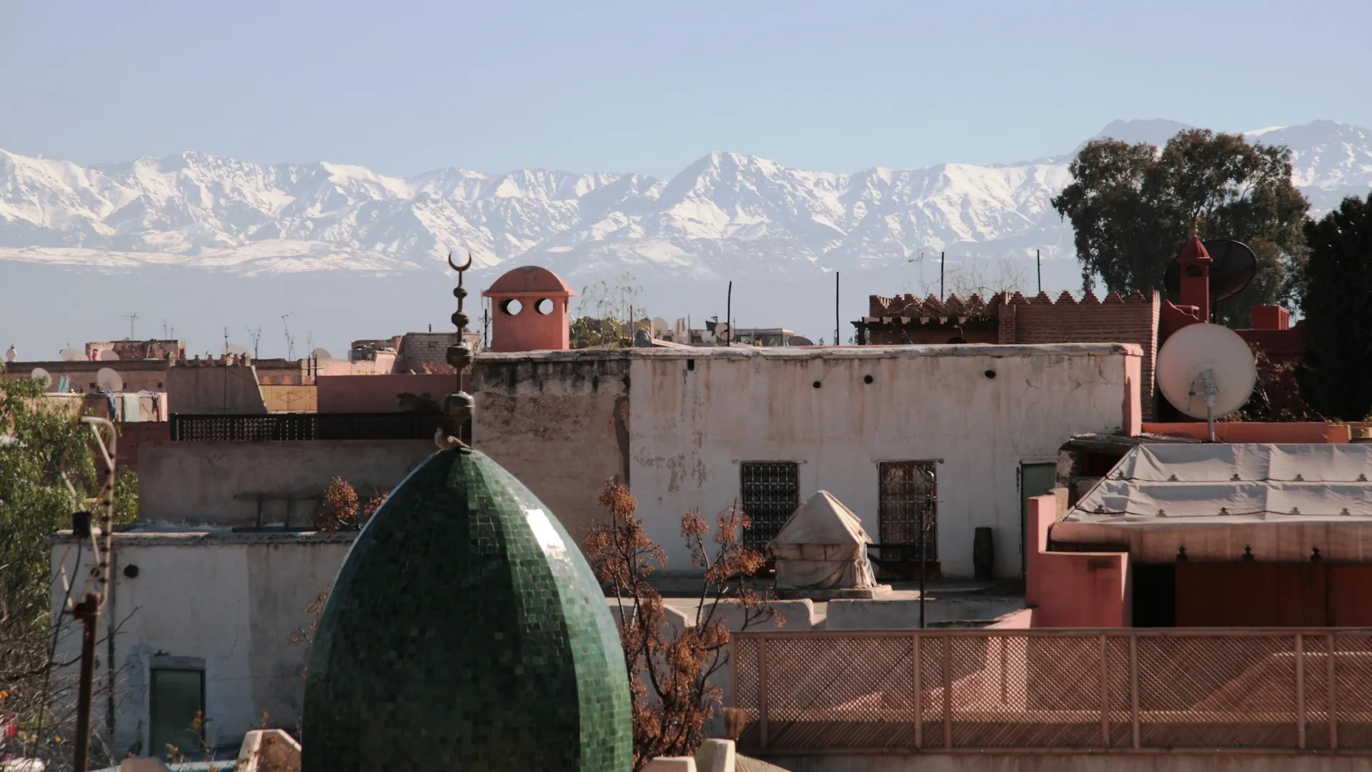 Riad Diana contacts